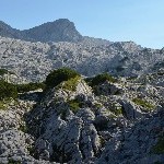 DSC_0270.jpg