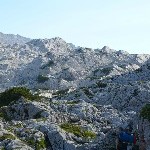 DSC_0272.jpg