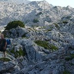 DSC_0273.jpg