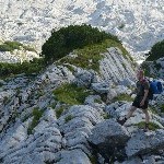 DSC_0274.jpg