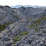 DSC_0279.jpg