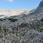 DSC_0283.jpg
