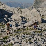 DSC_0294.jpg