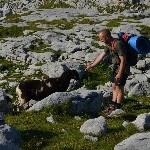 DSC_0298.jpg