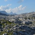 DSC_0299.jpg