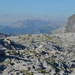 DSC_0300.jpg