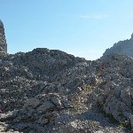 DSC_0303.jpg