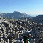 DSC_0334.jpg