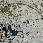DSC_0346.jpg