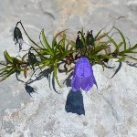 DSC_0353.jpg