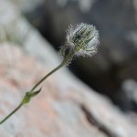 DSC_0355.jpg