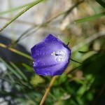 DSC_0358.jpg