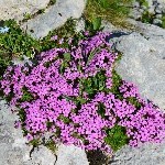DSC_0365.jpg