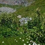 DSC_0386.jpg