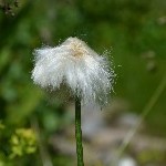 DSC_0387.jpg