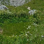 DSC_0391.jpg