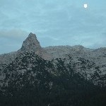DSC_0431.jpg