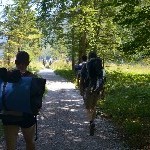 DSC_0501.jpg